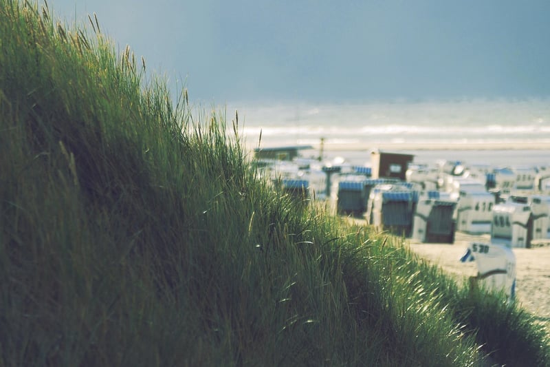 Beach Visualization